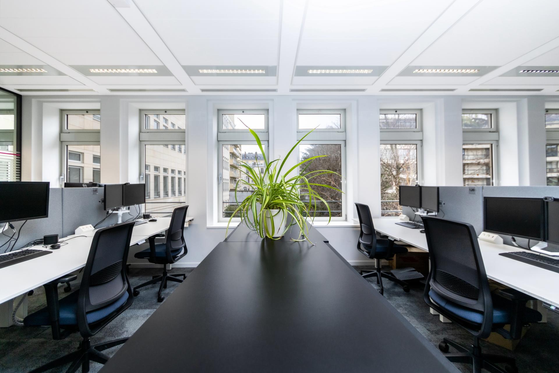 Open space avec plante décorative au centre sur une séparation basse