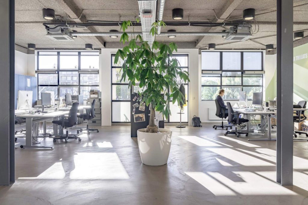 Open space avec de grandes fenêtres et plantes vertes