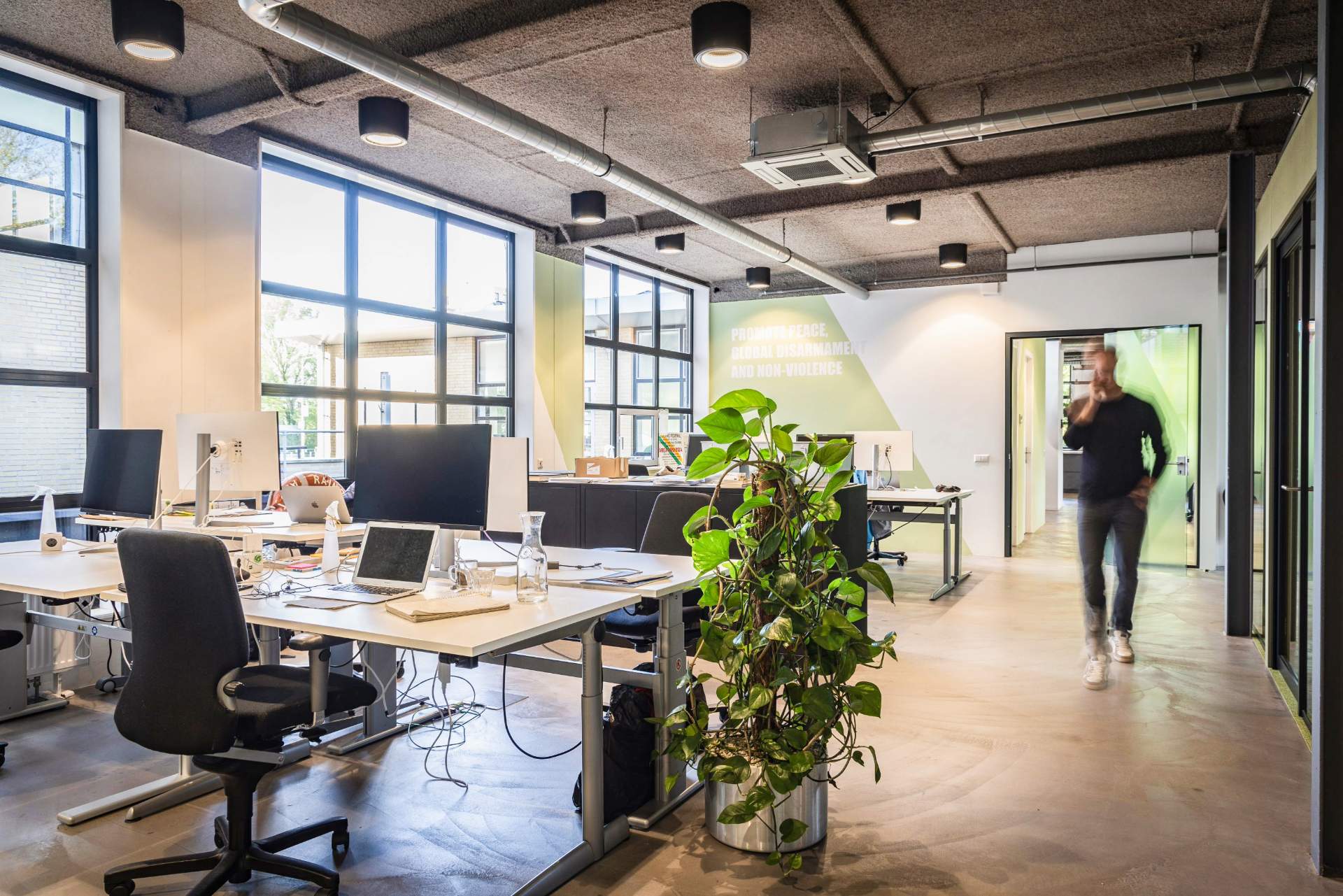 Open space avec de grandes fenêtres et plantes vertes