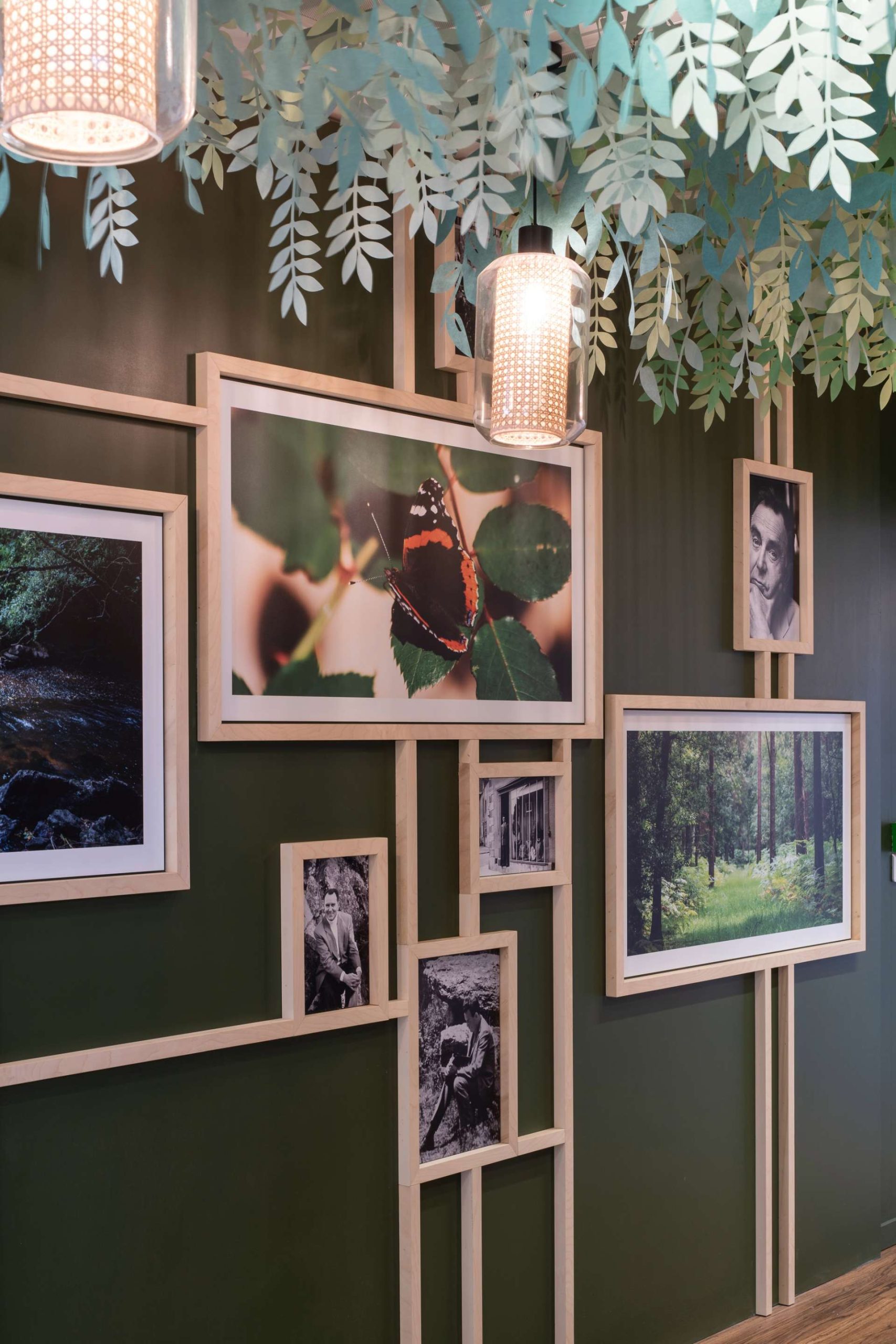 Mur vert foncé, décoré de cadres en bois clair avec des plantes suspendues en haut