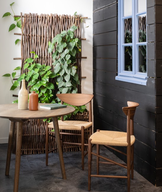 Wooden table and chairs on a small terrace, a climbing plant in the background for decoration.