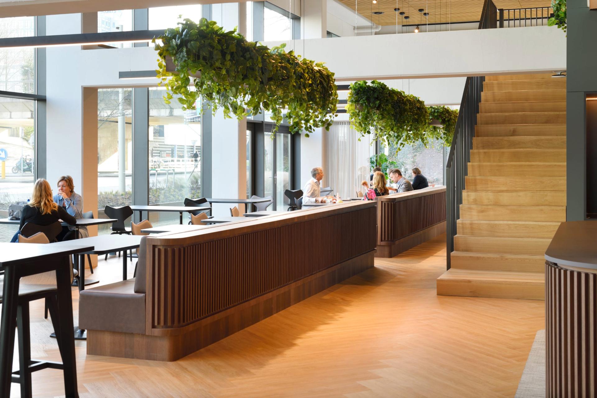 Espace de restauration chez Laurens, avec des plantes suspendues en décoration