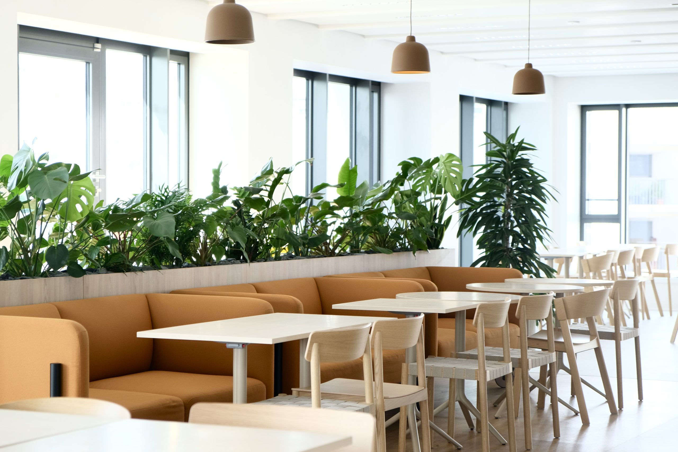 Vu de l'intérieur, espace végétalisé avec des des chaises et des tables, coussins jaunes