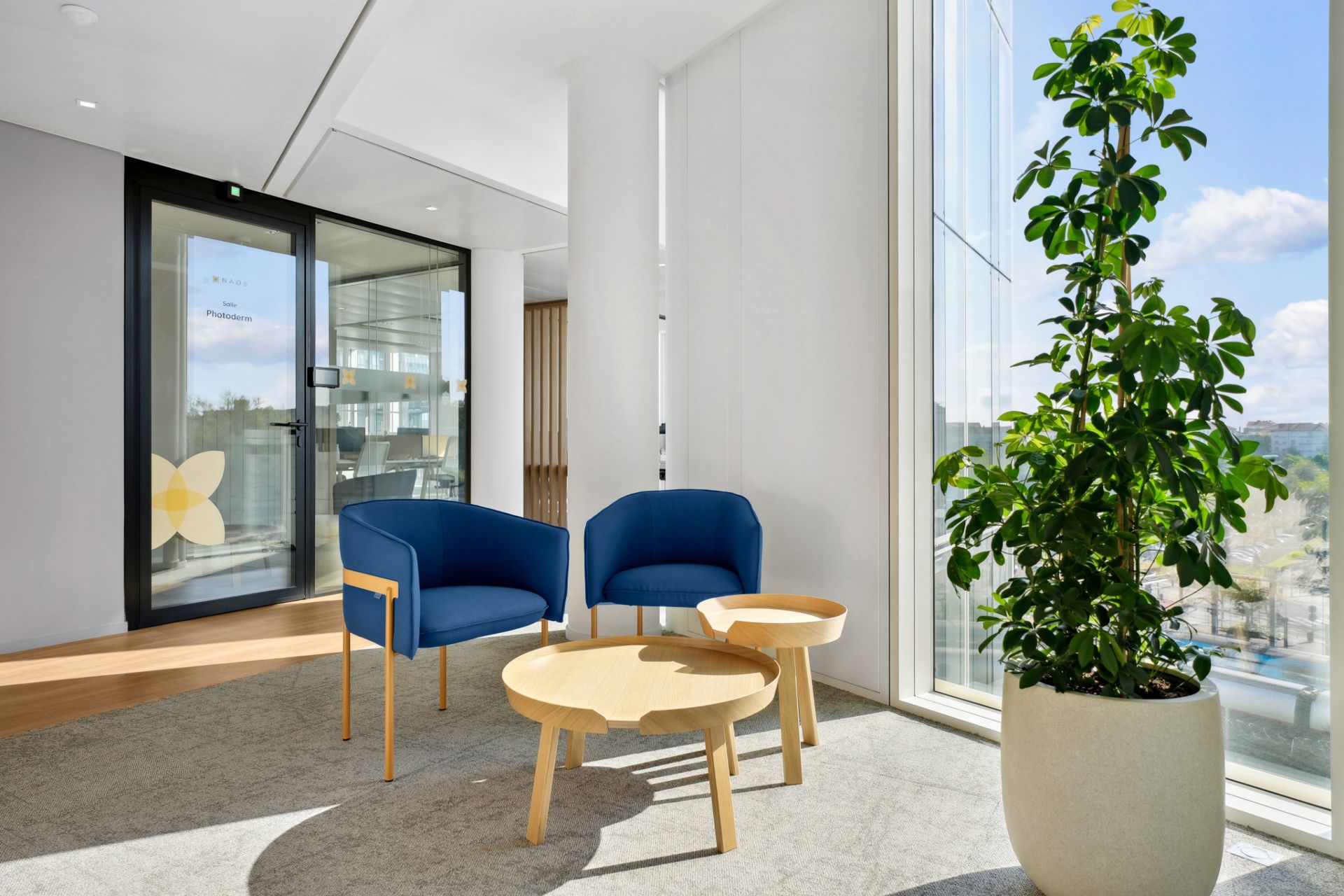 Petit espace cosy avec plante verte chez NAOS, par Parella