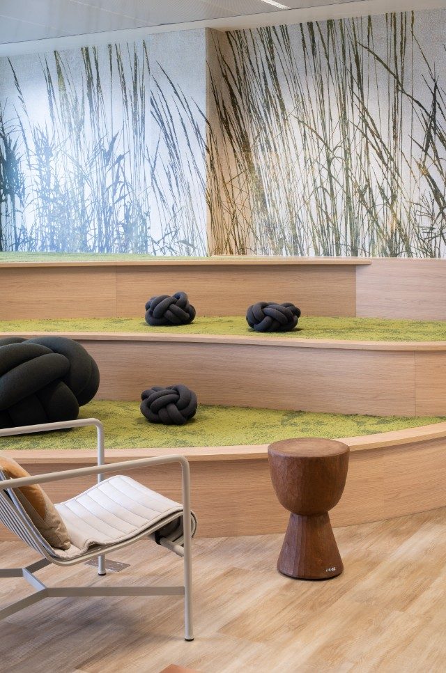Espace d'échange en amphithéâtre avec un aspect cosy et naturel - Groupe Rocher