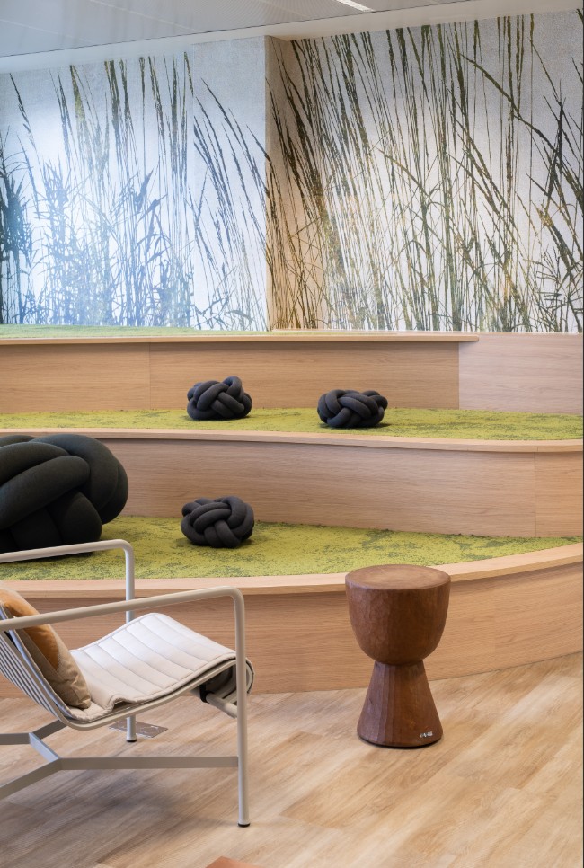 An amphitheatre-style meeting space with a cosy, natural feel - Groupe Rocher