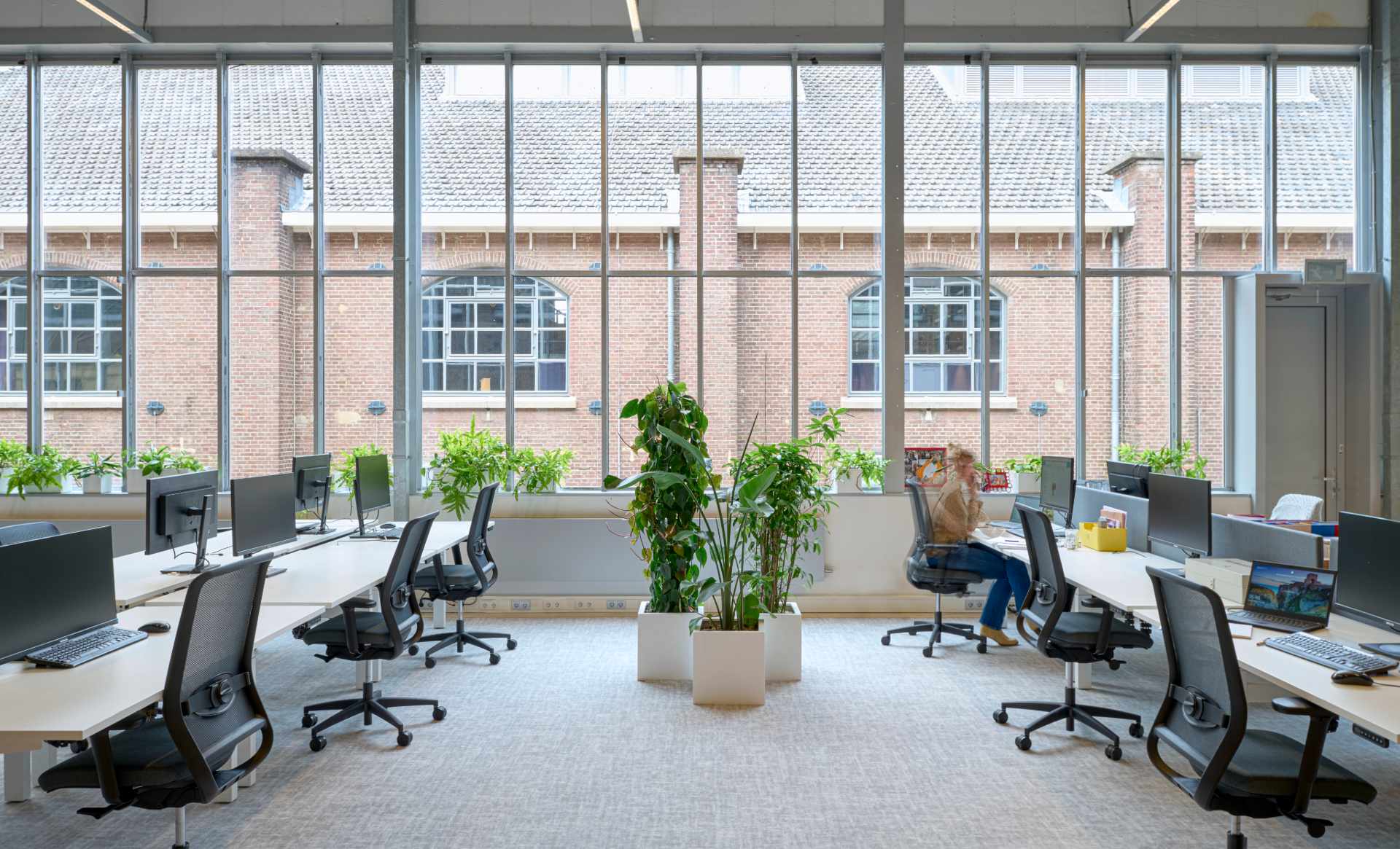 Open space à côté de grandes fenêtres et quelques plantes décoratives pour agrémenter l'espace