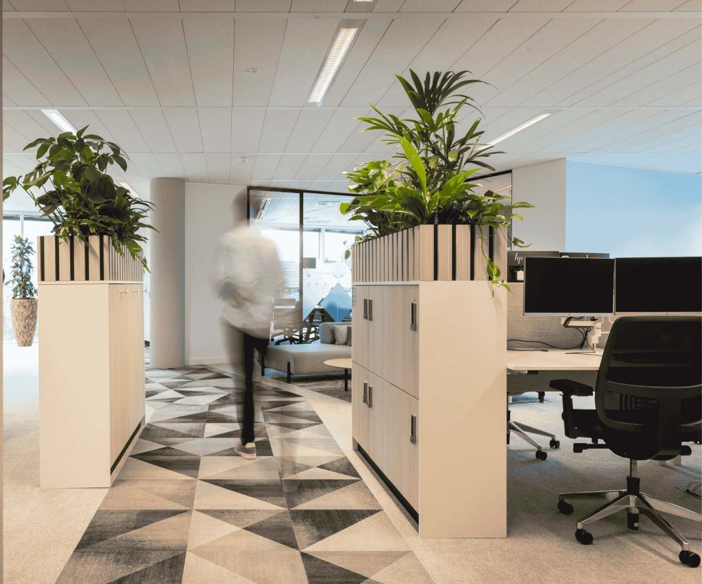 Open space avec des casiers surmontées de plantes décoratives pour séparer les espaces.