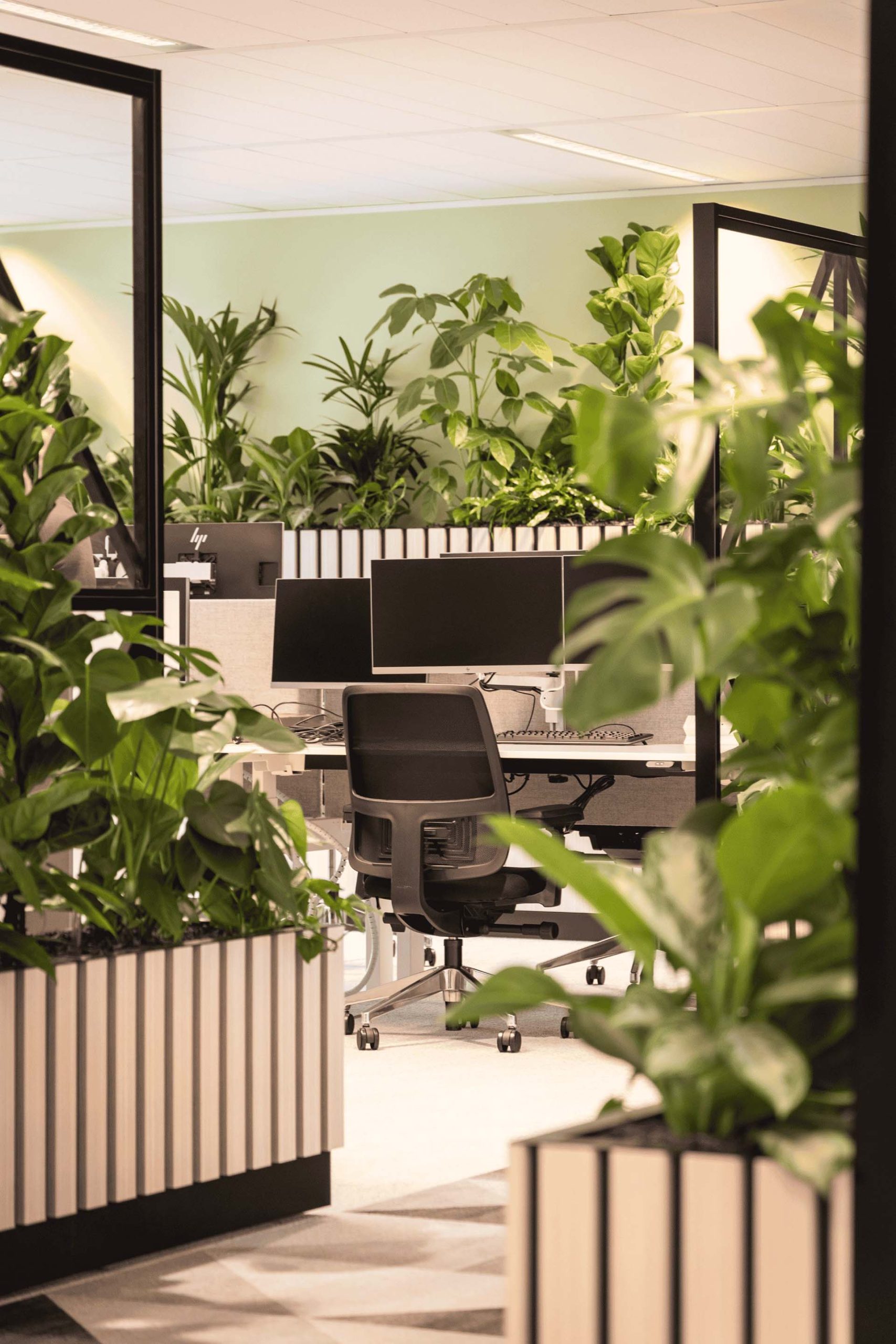 Open space avec des plantes décoratives