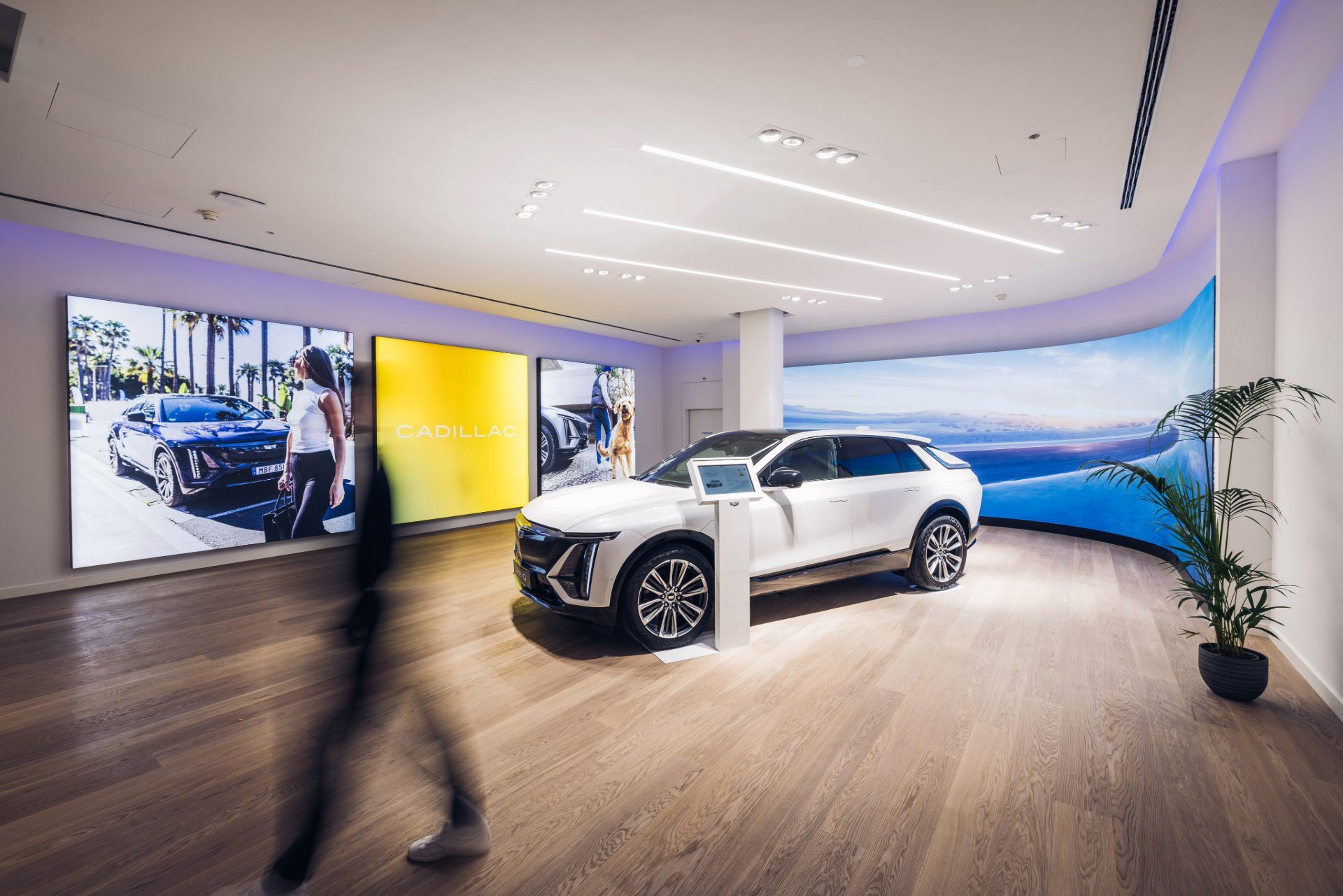 Vu du showroom avec un modèle blanc exposé et une tablette affichant les infos techniques, derrière des photos illustratives de la voiture et une photo d'océan.
