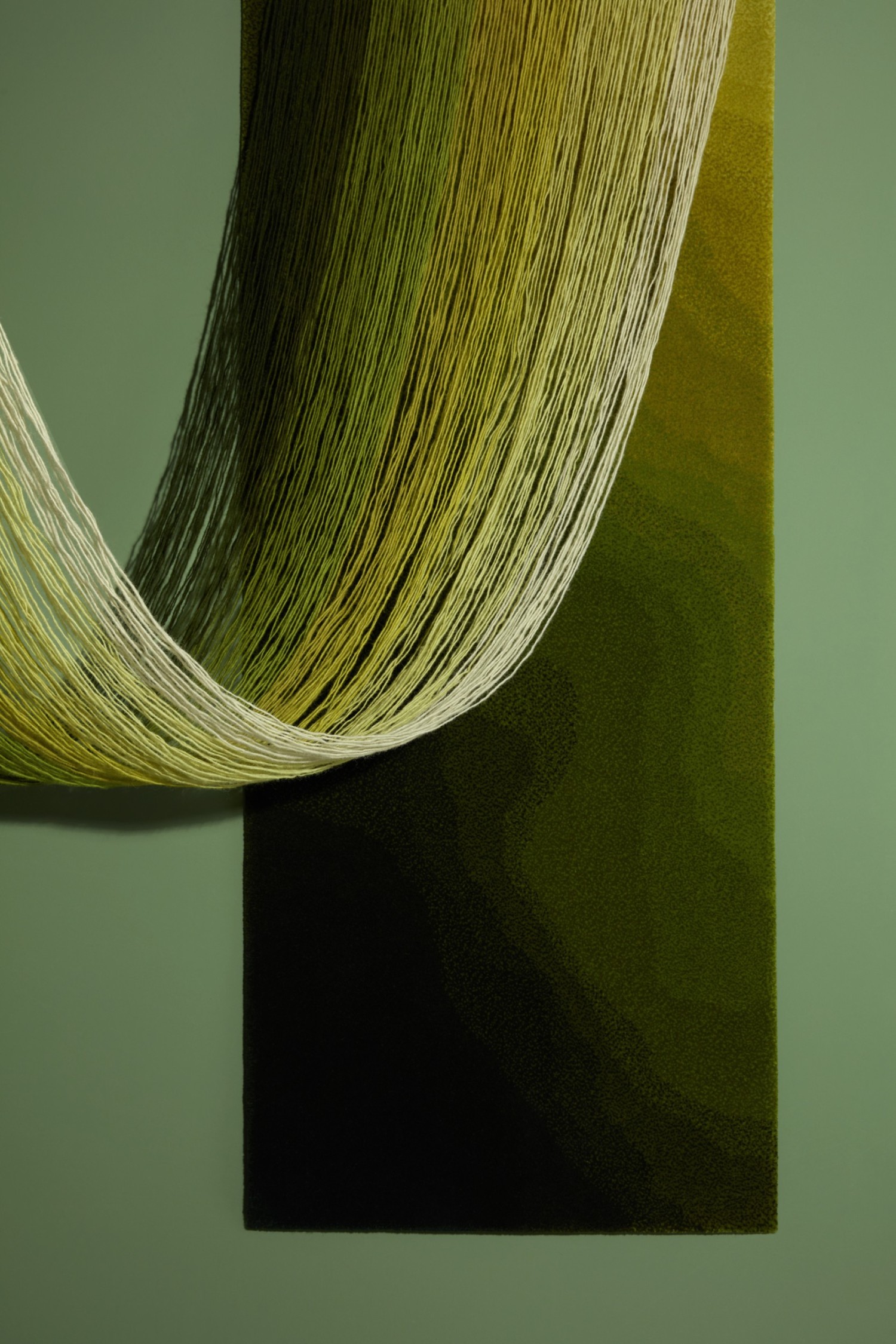 fils verts sur fond vert