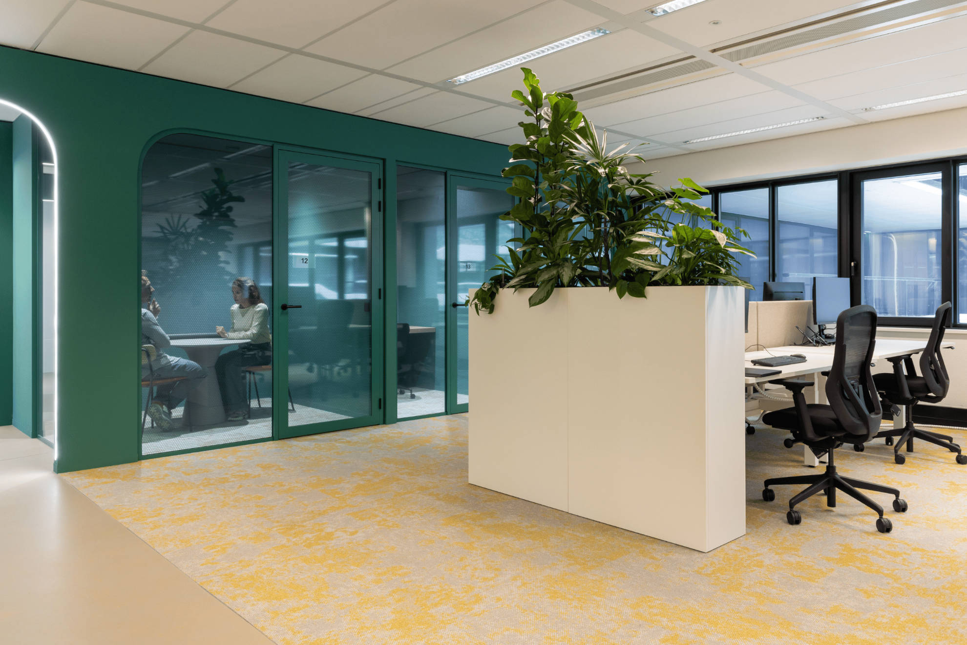 Photo d'un bureau d'angle et de salles de réunions bleues avec des végétaux.