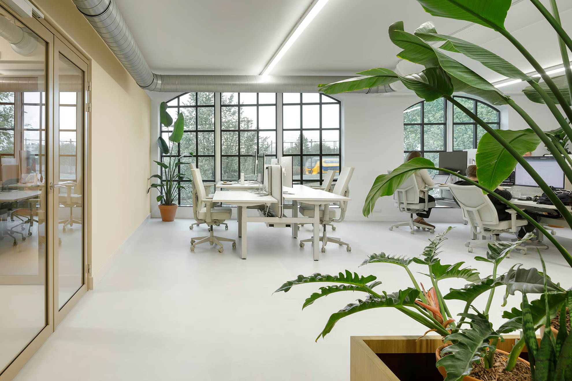 Photo d'un open space avec une porte à gauche, une plante au premier plan à droite et une fenêtre au centre avec vue sur un train.