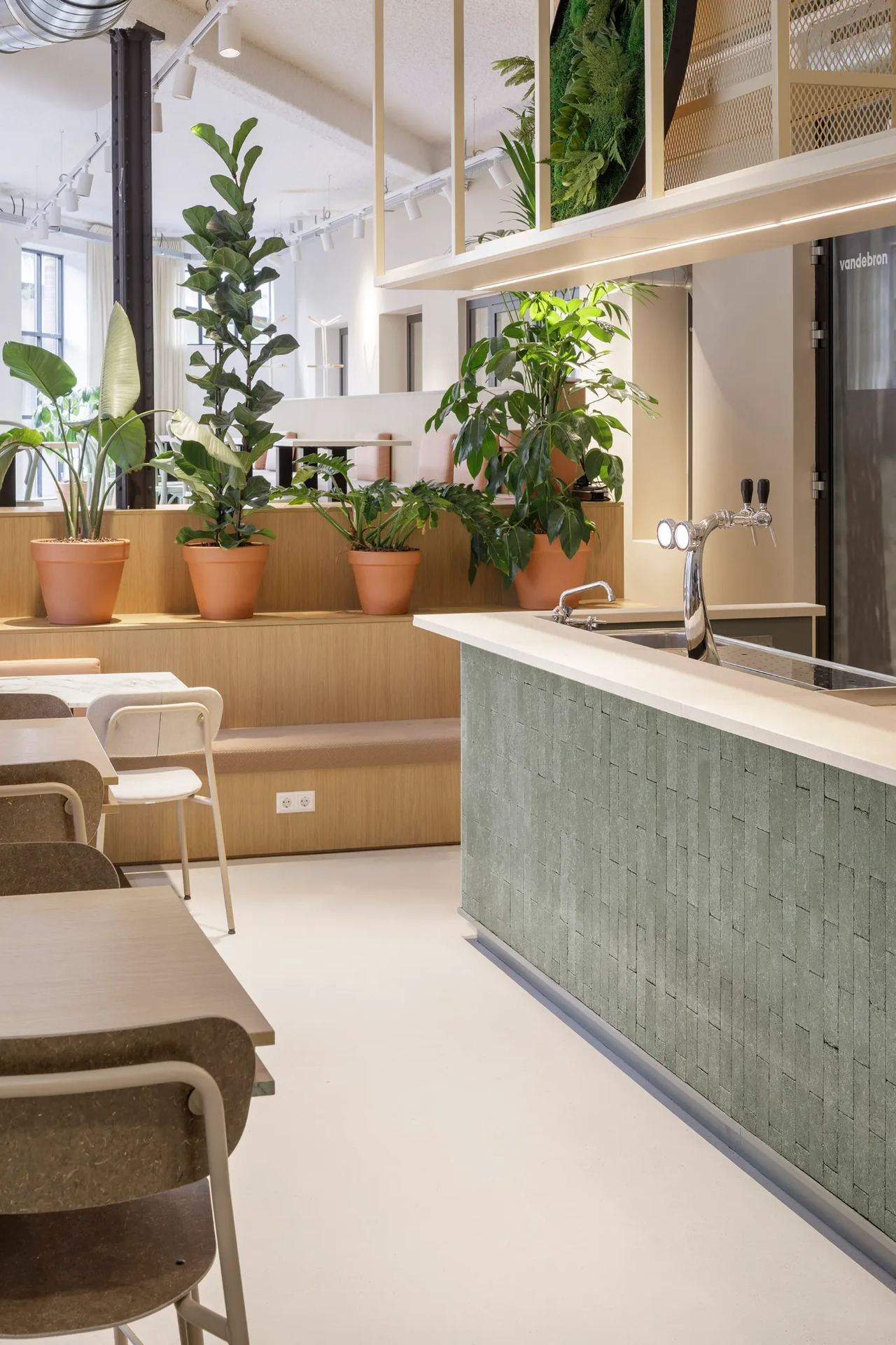 Photo du comptoir avec un robinet et des chaises à gauche + des plantes au fond.