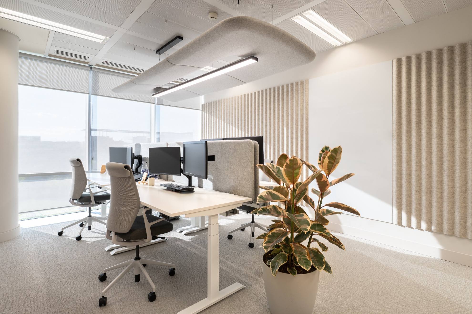 Plan sur des bureaux avec une plante au premier plan.