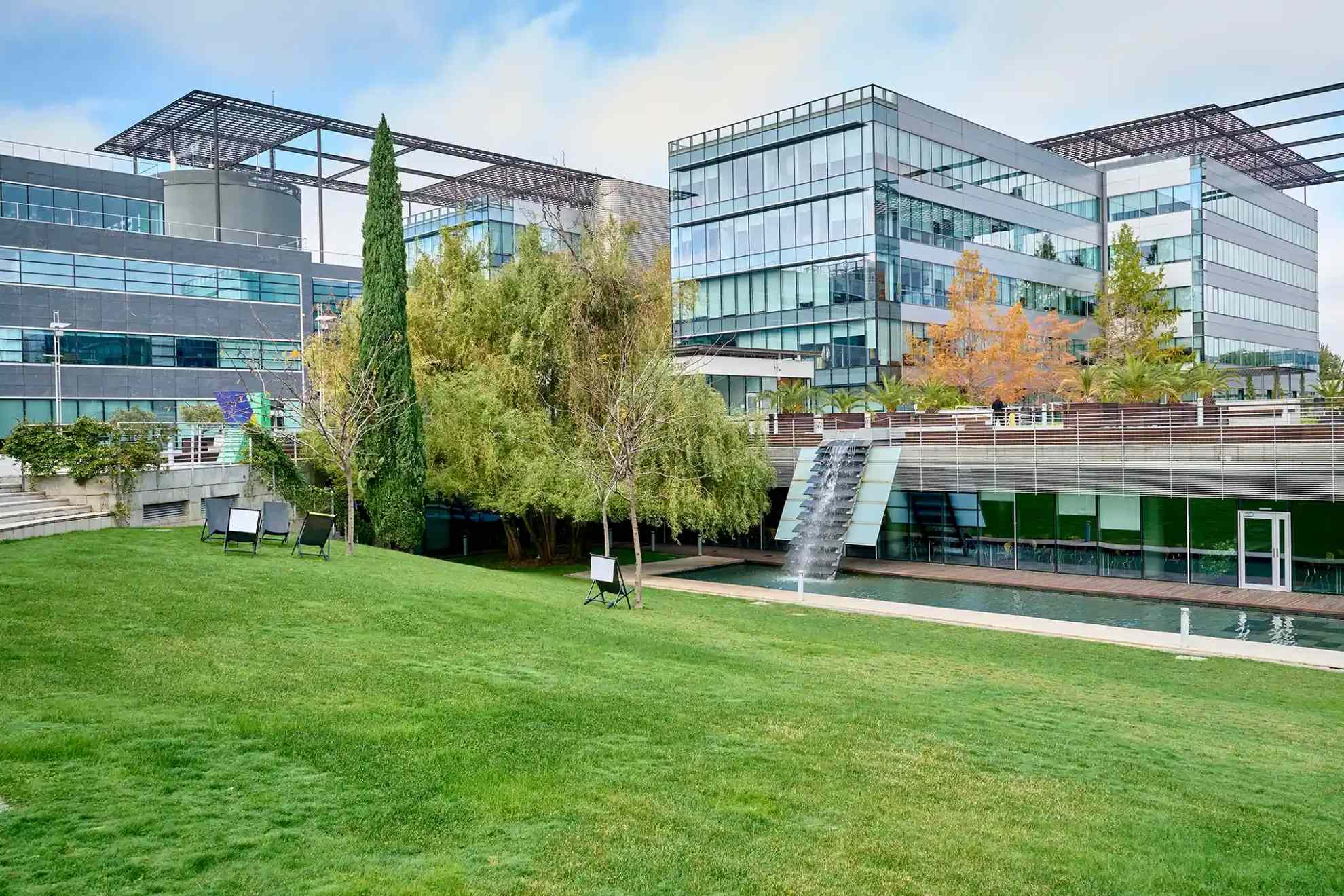 Vue de l'extérieur avec un cyprès et une pelouse.