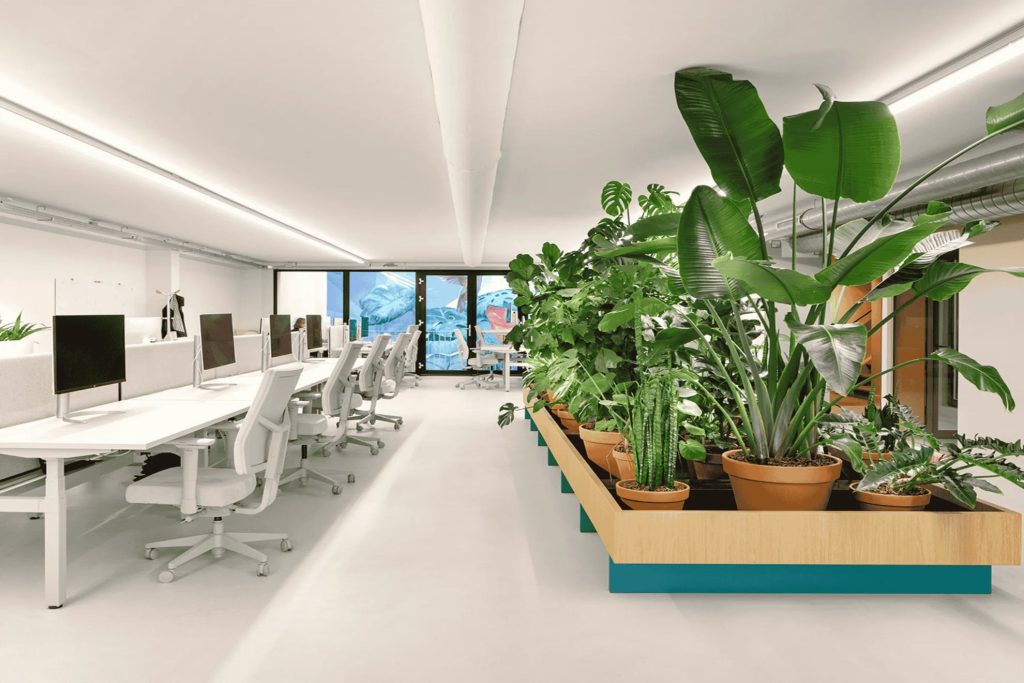 A gauche une rangée de posts de travail blanc et à droite un rangement avec des végétaux.