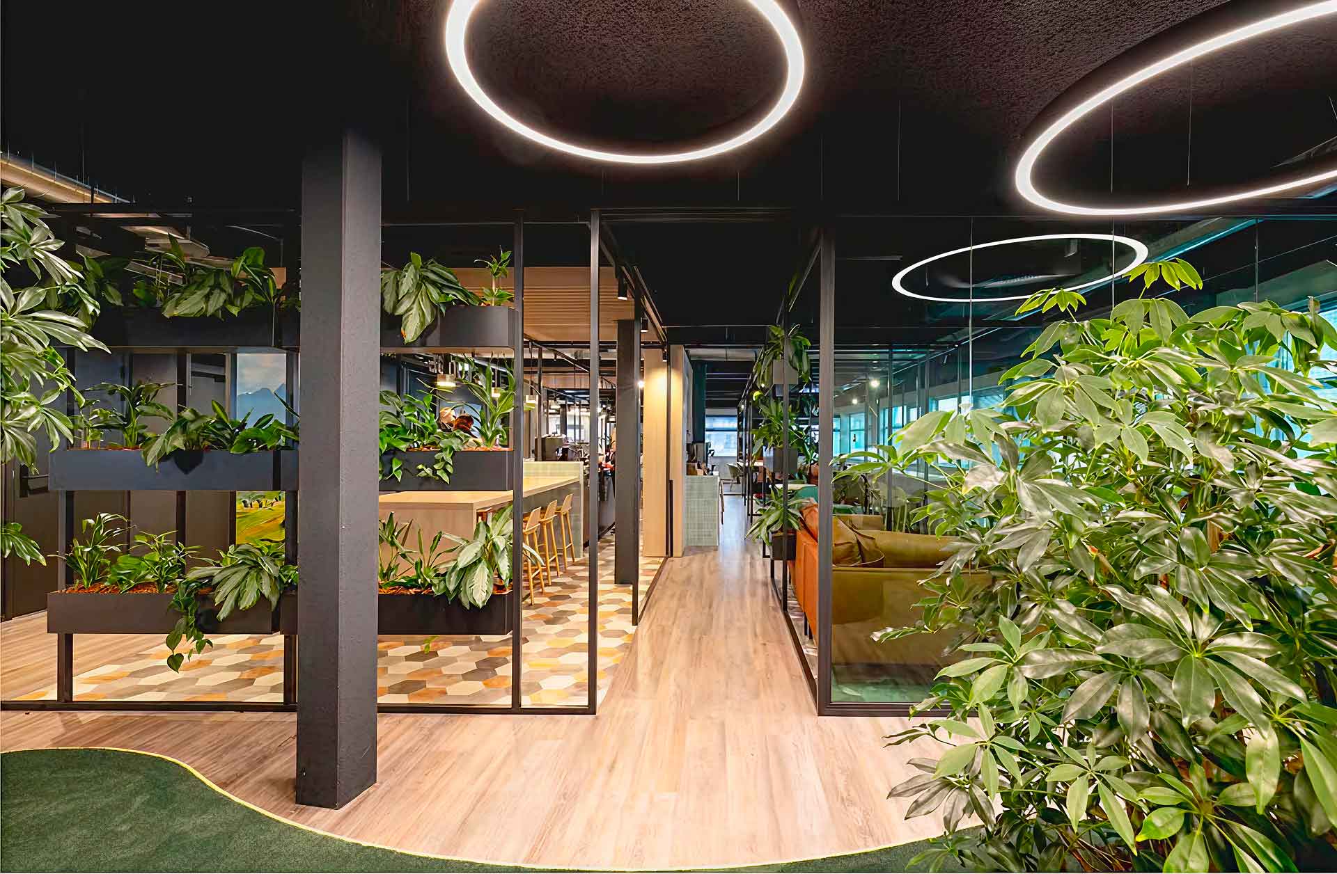 Photo d'une salle de bureau avec à droite une plante verte et à gauche un parterre de plantes.