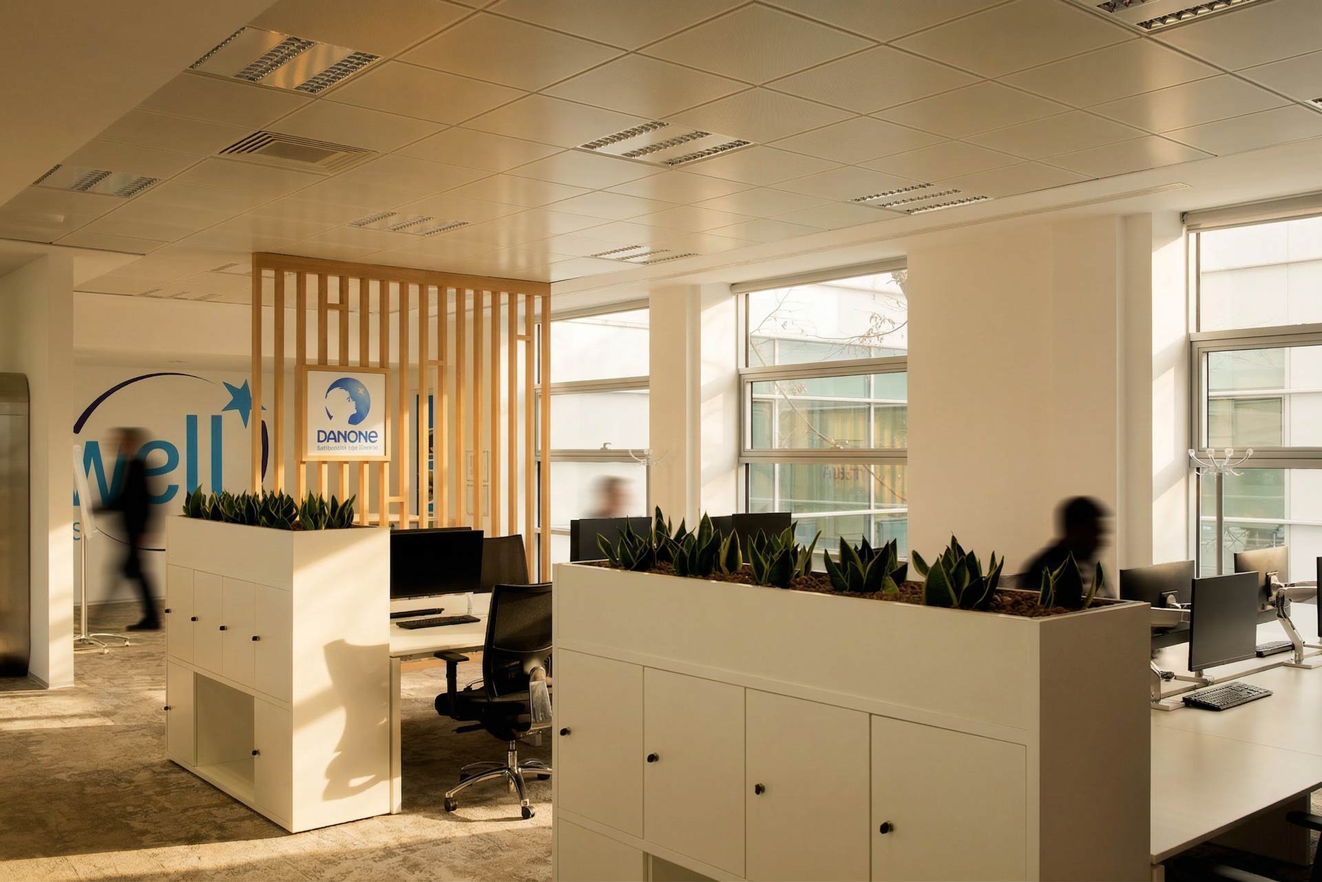 Un grand plateau de bureaux (open space) structuré par des meubles de rangement blancs surmontés de plantes vertes pour créer de l'intimité.