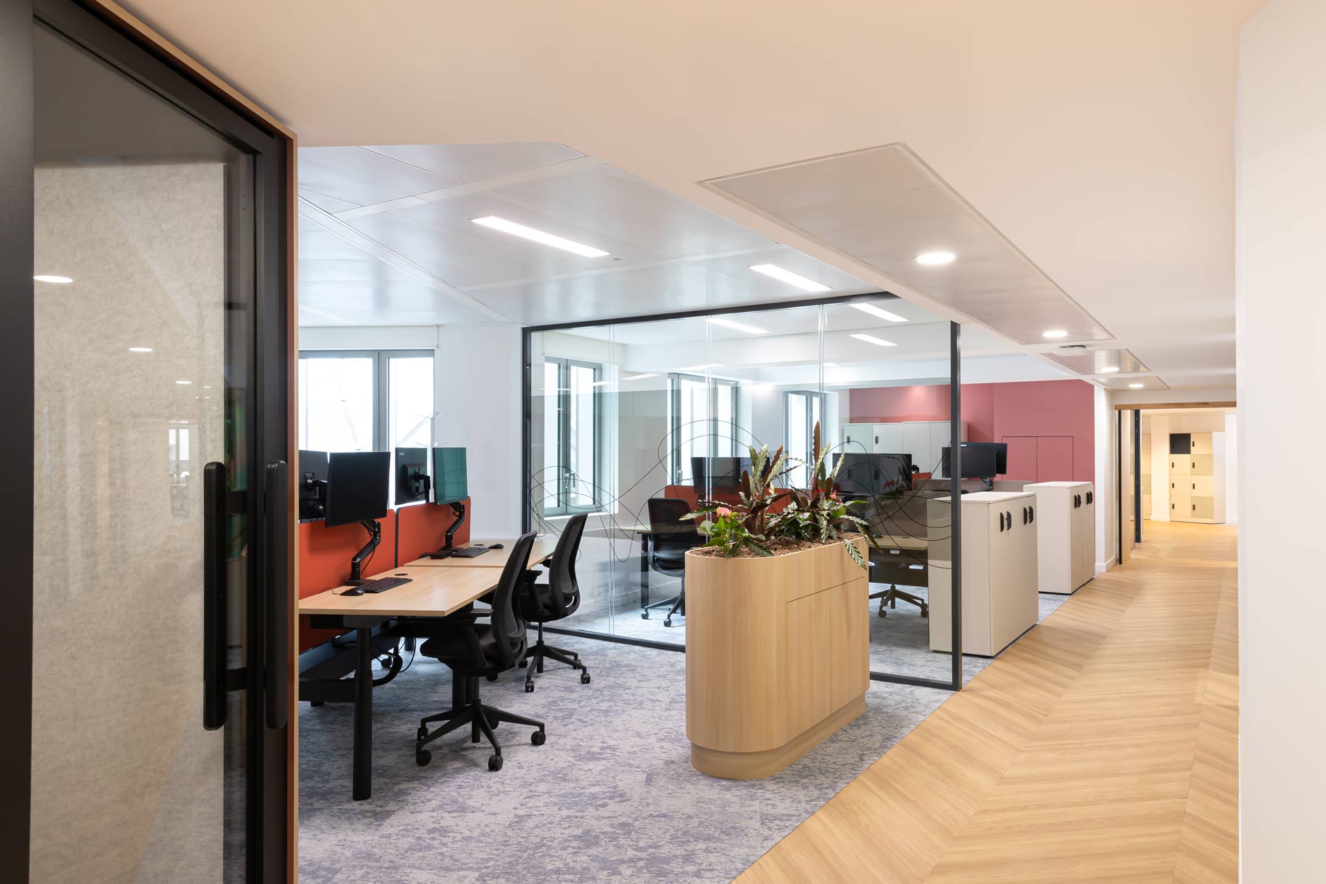 Vue d'un espace de travail en "open space" avec des bureaux en bois clair, des chaises ergonomiques noires et des écrans d'ordinateurs. Une jardinière en bois avec des plantes vertes sert de séparation naturelle.